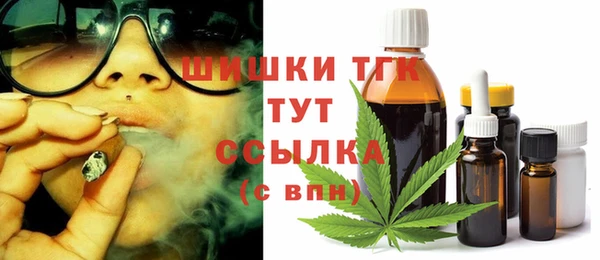 шишки Медвежьегорск