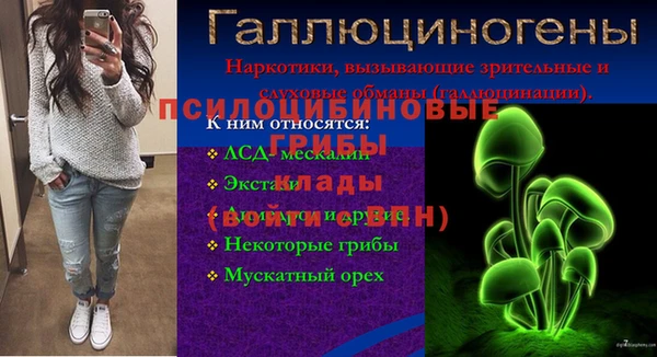 шишки Медвежьегорск