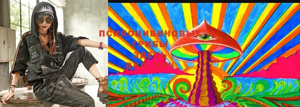 шишки Медвежьегорск
