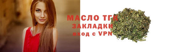 шишки Медвежьегорск