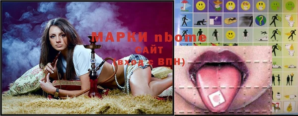 шишки Медвежьегорск