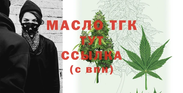 шишки Медвежьегорск