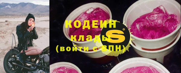шишки Медвежьегорск