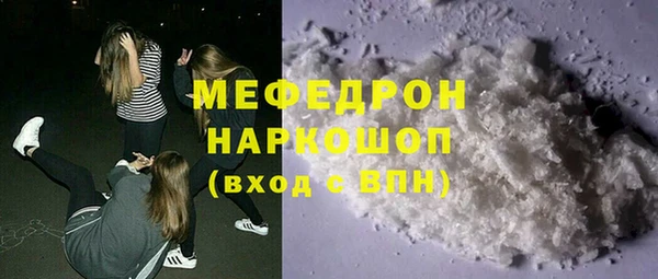 шишки Медвежьегорск