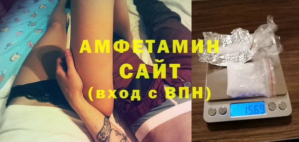 шишки Медвежьегорск